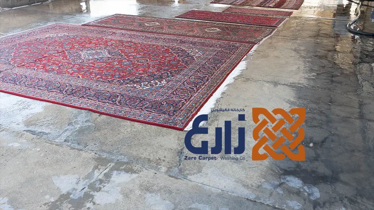 فرش‌های دستباف پهن‌شده در محوطه شست‌وشوی کارخانه قالیشویی زارع