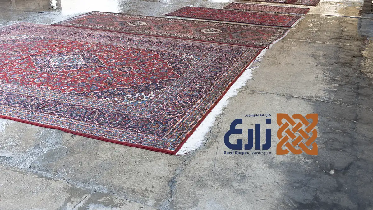 چند فرش با زمینه قرمز و ریشههای روشن، پهنشده در سالن کارخانه قالیشویی زارع