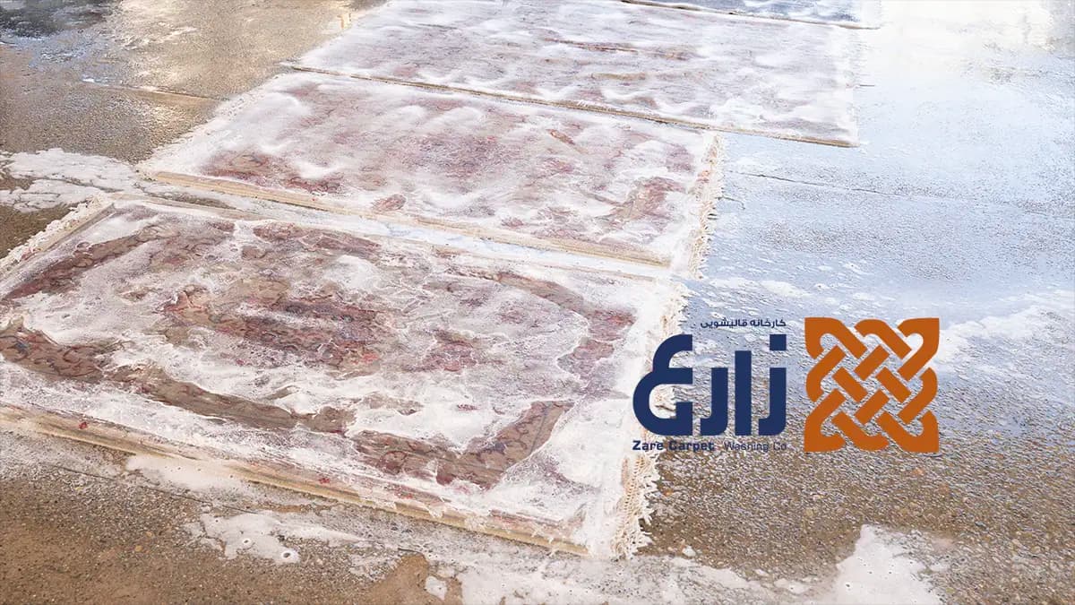 شستشوی فرشهای گلابریشم در کارخانه قالیشویی زارع