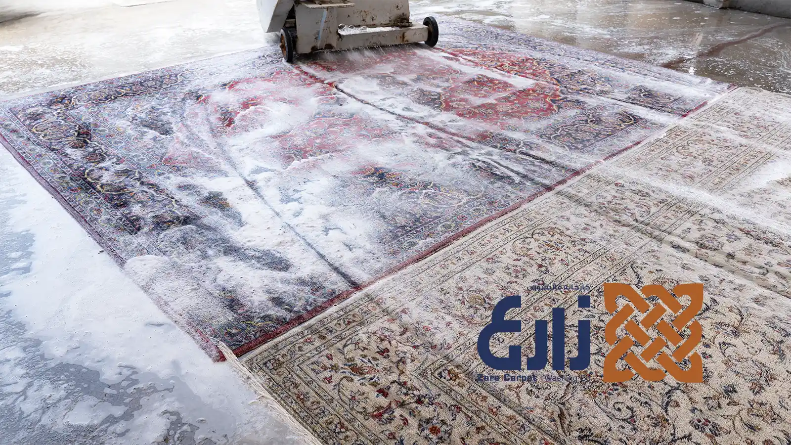شستشوی فرشهای طرحدار با دستگاه و کف در سالن قالیشویی زارع