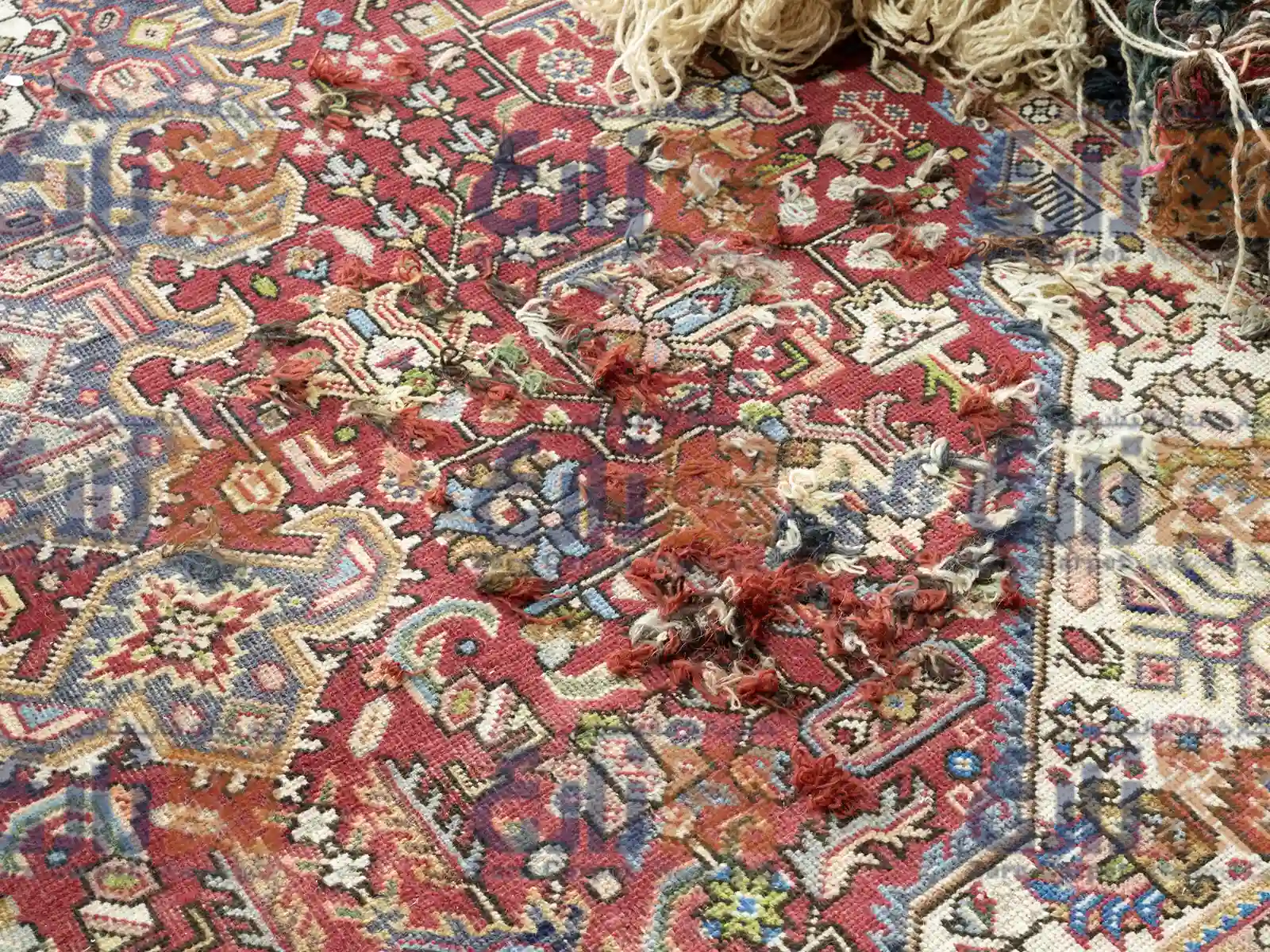 رفع تخصصی بیدخوردگی فرش دستباف در کارخانه قالیشویی زارع